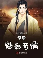 《大唐魅影奇情》小说封面