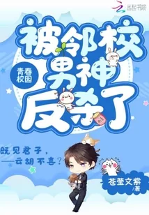 《被邻校男神反杀了》小说封面