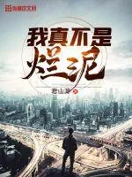 《我真不是烂泥》小说封面
