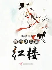 《原来这里是红楼》小说封面