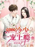 《吻安宝贝：冷少一宠上瘾》小说封面