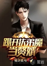 《踢开扶弟魔当赘婿》小说封面