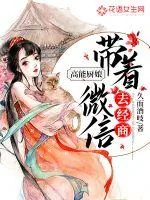 《高能厨娘:带着微信去经商》小说封面