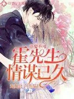 《非娶不可:霍先生情谋已久》小说封面