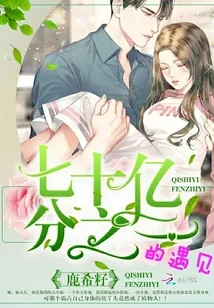 《七十亿分之一的遇见》小说封面