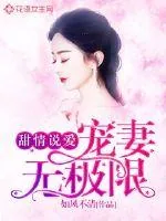 《甜情说爱：宠妻无极限》小说封面