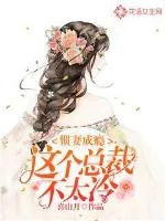 《惯妻成瘾：这个总裁不太冷》小说封面