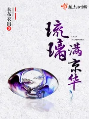 《琉璃满京华》小说封面