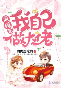 《离婚后我自己做大佬》小说封面