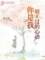 《你是我躲不过的心动》小说封面