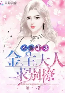 《不乖甜妻：金主大人求别撩》封面