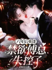 《六年后重逢，禁欲傅总失控了》封面