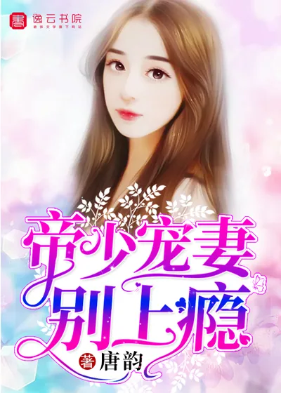 《帝少宠妻别上瘾》封面