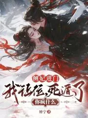 《侧妃进门我让位,死遁了你疯什么》小说封面