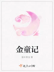 《金童记》封面