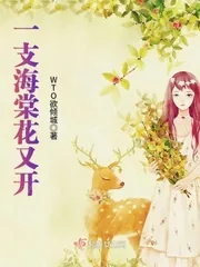 《一支海棠花又开》封面
