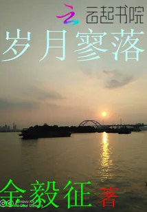 《岁月寥落》封面