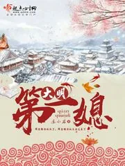《大明第一媳》封面