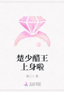 《楚少醋王上身啦》封面