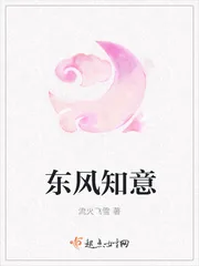 《东风知意》封面