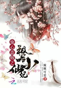 《偷心盗贼之极品小仙妃》封面