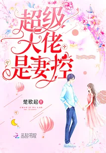 《超级大佬是妻控》封面
