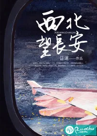 《西北望长安》封面