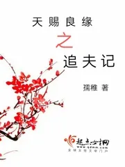 《天赐良缘之追夫记》封面
