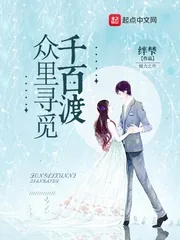 《众里寻觅千百渡》封面