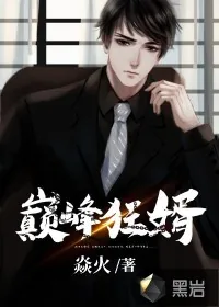 《巅峰狂婿》封面