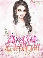 《高冷总裁追妻傻白甜》小说封面