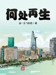 《何处再生》封面