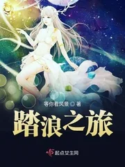 《踏浪之旅》封面