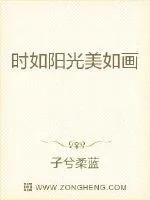 《时如阳光美如画》封面