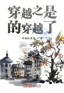 《穿越之是的穿越了》封面
