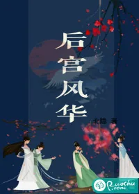 《后宫风华》封面