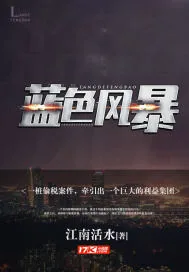 《蓝色风暴》封面