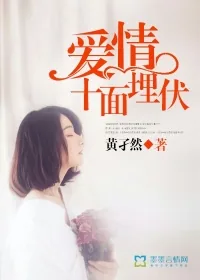 《爱情十面埋伏》封面