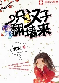 《一只汉子翻墙来》封面