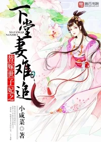 《替嫁世子妃之下堂妻难追》封面