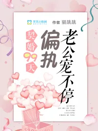 《契婚99天：偏执老公宠不停》封面