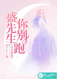 《念念难防：盛先生你别跑》封面