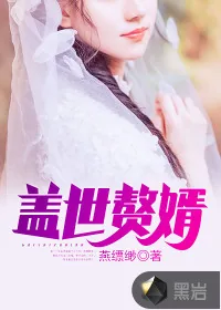 《盖世赘婿》封面
