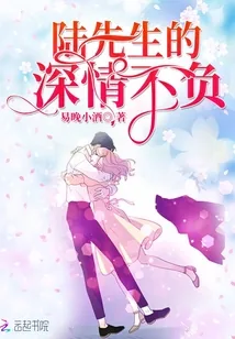《陆先生的深情不负》封面