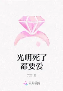 《光明死了都要爱》封面