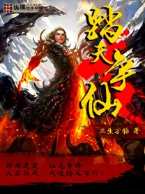 《踏天争仙》封面