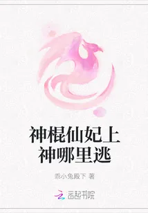 《神棍仙妃上神哪里逃》封面