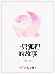 《一只狐狸的故事》封面