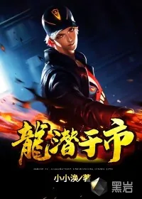 《龙潜于市》封面