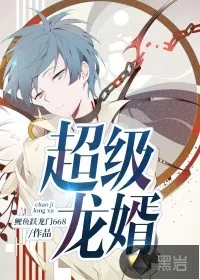 《超级龙婿》封面